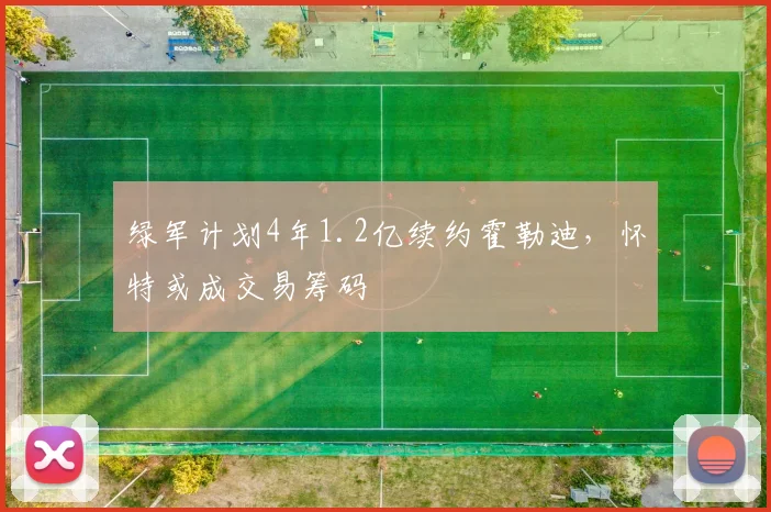 绿军计划4年1.2亿续约霍勒迪，怀特或成交易筹码