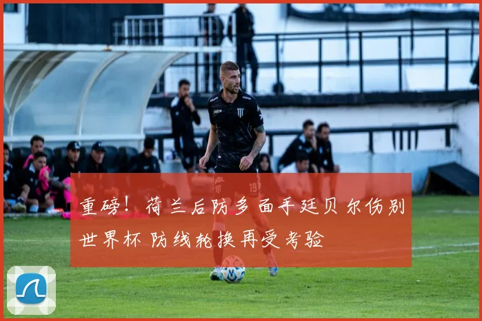 重磅！荷兰后防多面手廷贝尔伤别世界杯 防线轮换再受考验